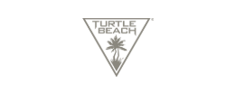 Turtle Beach